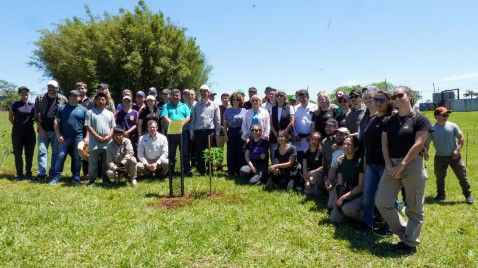 Misiones celebra la plantación de 100.000 árboles nativos para restaurar un ecosistema amenazado